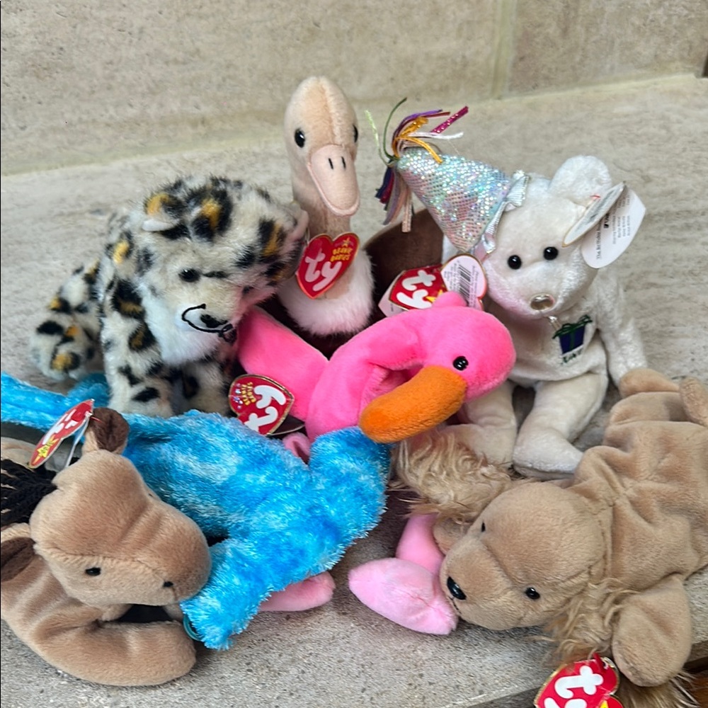 Attention Collectors- TY Beanie Babies